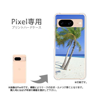 䂤pP google Pixelp P[XPixel9 Pixel9Pro Pixel10proXL P[X Jo[ PCP[X  lC JCCANZT[ X}zP[X Jo[ n[h |J[{l[g[āEVvE