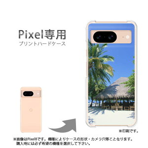 䂤pP google Pixelp P[XPixel9 Pixel9Pro Pixel10proXL P[X Jo[ PCP[X  lC JCCANZT[ X}zP[X Jo[ n[h |J[{l[g[āEVvE