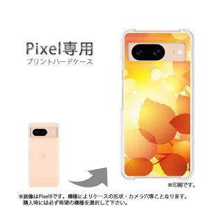 �䂤�p�P�������� google Pixel��p �P�[�XPixel9 Pixel9Pro Pixel10proXL �P�[�X �J�o�[ PC�P�[�X ������� �l�C �J���C�C�A�N�Z�T���[ �X�}�z�P�[�X �J�o�[ �n�[�h �|���J�[�{�l�[�g[�H�E�V���v���E��