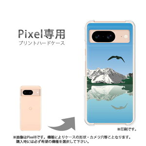 䂤pP google Pixelp P[XPixel9 Pixel9Pro Pixel10proXL P[X Jo[ PCP[X  lC JCCANZT[ X}zP[X Jo[ n[h |J[{l[g[VvE(u
