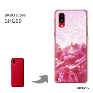 䂤pP BASIO active SHG09 P[XxCVI PCP[X  lC JCCANZT[ X}zP[X Jo[ n[h |J[{l[gyJ[l[ViBj/shg09-M977z