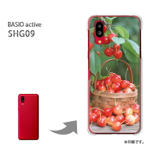 䂤pP BASIO active SHG09 P[XxCVI PCP[X  lC JCCANZT[ X}zP[X Jo[ n[h |J[{l[g [XC[cE()/shg09-pc-ne042]