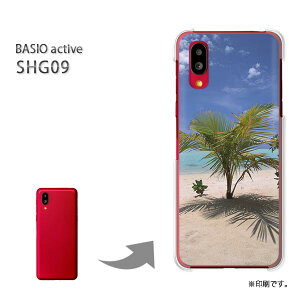 䂤pP BASIO active SHG09 P[XxCVI PCP[X  lC JCCANZT[ X}zP[X Jo[ n[h |J[{l[g[āEVvECEV̖(u[)/shg09-pc-new