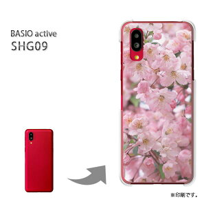 䂤pP BASIO active SHG09 P[XxCVI PCP[X  lC JCCANZT[ X}zP[X Jo[ n[h |J[{l[g[ԁE(sN)/shg09-pc-new0362]