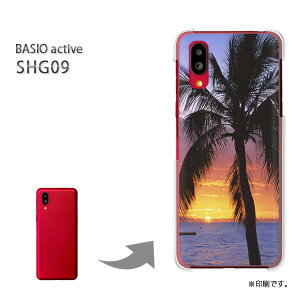 䂤pP BASIO active SHG09 P[XxCVI PCP[X  lC JCCANZT[ X}zP[X Jo[ n[h |J[{l[g[āEVvE[EV̖(EIW)/