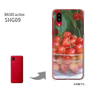 䂤pP BASIO active SHG09 P[XxCVI PCP[X  lC JCCANZT[ X}zP[X Jo[ n[h |J[{l[g[XC[cE()/shg09-pc-new0555]