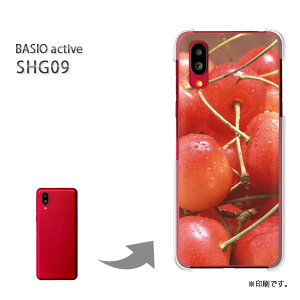 䂤pP BASIO active SHG09 P[XxCVI PCP[X  lC JCCANZT[ X}zP[X Jo[ n[h |J[{l[g[XC[cE()/shg09-pc-new0611]