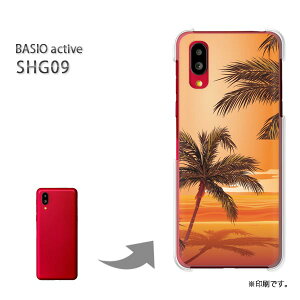 䂤pP BASIO active SHG09 P[XxCVI PCP[X  lC JCCANZT[ X}zP[X Jo[ n[h |J[{l[g[āEVvE[EV̖(IW)/shg09-