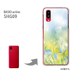 䂤pP BASIO active SHG09 P[XxCVI PCP[X  lC JCCANZT[ X}zP[X Jo[ n[h |J[{l[gyt[216/shg09-PM216z