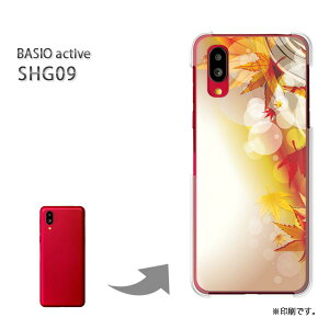 䂤pP BASIO active SHG09 P[XxCVI PCP[X  lC JCCANZT[ X}zP[X Jo[ n[h |J[{l[gyH247/shg09-PM247z