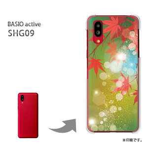 䂤pP BASIO active SHG09 P[XxCVI PCP[X  lC JCCANZT[ X}zP[X Jo[ n[h |J[{l[gyH248/shg09-PM248z