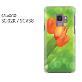 ゆうパケ送料無料 docomo au GALAXY S9SC-02K SCV38 ギャラクシー GALAXY S9 sc02k scv38サムスン GALAXY S9アクセサリー スマホケース カバー ハード ポリカーボネート[花・チューリップ(赤)/sc02k-pc-new0649]