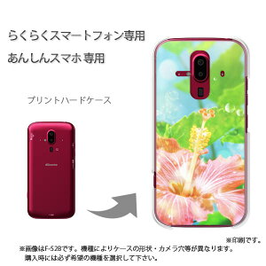 ゆうパケ送料無料 らくらくホン専用 ケースドコモ F-52B F-53E らくらくスマ−トフォン ケース カバー PCケース おしゃれ 人気 カワイイアクセサリー スマホケース カバー ハード ポリカーボネ