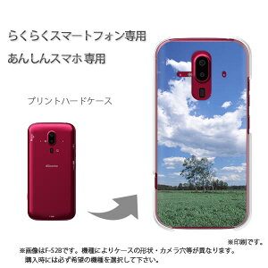 䂤pP 炭炭zp P[XhR F-52B F-53E 炭炭X}|gtH P[X Jo[ PCP[X  lC JCCANZT[ X}zP[X Jo[ n[h |J[{l