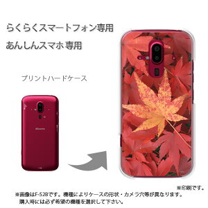 䂤pP 炭炭zp P[XhR F-52B F-53E 炭炭X}|gtH P[X Jo[ PCP[X  lC JCCANZT[ X}zP[X Jo[ n[h |J[{l