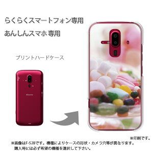 䂤pP 炭炭zp P[XhR F-52B F-53E 炭炭X}|gtH P[X Jo[ PCP[X  lC JCCANZT[ X}zP[X Jo[ n[h |J[{l