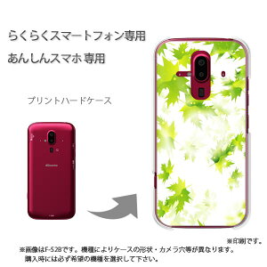 䂤pP 炭炭zp P[XhR F-52B F-53E 炭炭X}|gtH P[X Jo[ PCP[X  lC JCCANZT[ X}zP[X Jo[ n[h |J[{l