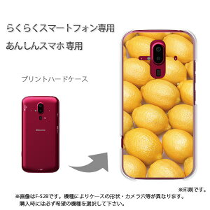 䂤pP 炭炭zp P[XhR F-52B F-53E 炭炭X}|gtH P[X Jo[ PCP[X  lC JCCANZT[ X}zP[X Jo[ n[h |J[{l