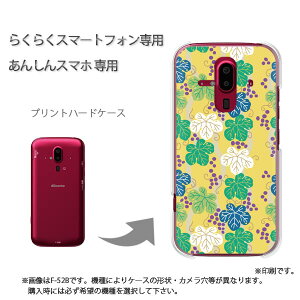 ゆうパケ送料無料 らくらくホン専用 ケースドコモ F-52B F-53E らくらくスマ−トフォン ケース カバー PCケース おしゃれ 人気 カワイイアクセサリー スマホケース カバー ハード ポリカーボネ