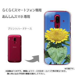 䂤pP 炭炭zp P[XhR F-52B F-53E 炭炭X}|gtH P[X Jo[ PCP[X  lC JCCANZT[ X}zP[X Jo[ n[h |J[{l