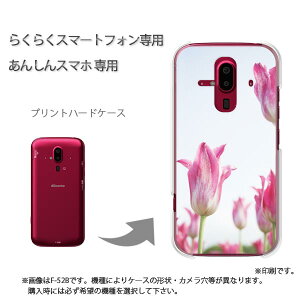 䂤pP 炭炭zp P[XhR F-52B F-53E 炭炭X}|gtH P[X Jo[ PCP[X  lC JCCANZT[ X}zP[X Jo[ n[h |J[{l