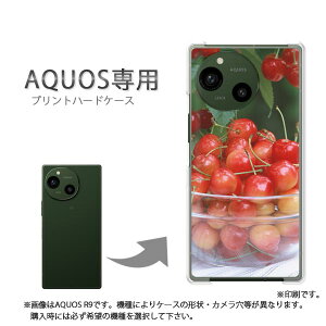 䂤pP AQUOSp P[XANIX SH-52F SH-51F AQUOS wish5 P[X Jo[ PCP[X  lC JCCANZT[ X}zP[X Jo[ n[h |J[{l[g[XC[cE