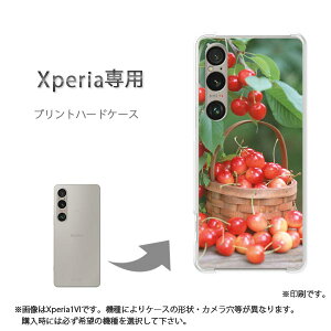 䂤pP XperiapP[XSO-51F SO-52E GNXyA P[X Jo[ PCP[X  lC JCCANZT[ X}zP[X Jo[ n[h |J[{l[g[XC[cE