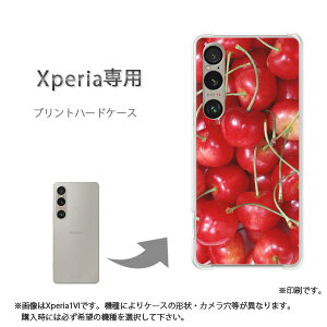䂤pP XperiapP[XSO-51F SO-52E GNXyA P[X Jo[ PCP[X  lC JCCANZT[ X}zP[X Jo[ n[h |J[{l[g[XC[c(