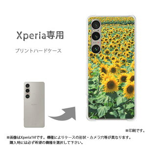 䂤pP XperiapP[XSO-51F SO-52E GNXyA P[X Jo[ PCP[X  lC JCCANZT[ X}zP[X Jo[ n[h |J[{l[g[ԁEЂ܂()/so51e-