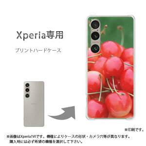 䂤pP XperiapP[XSO-51F SO-52F GNXyA P[X Jo[ PCP[X  lC JCCANZT[ X}zP[X Jo[ n[h |J[{l[g[XC[cE