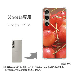 䂤pP XperiapP[XSO-51F SO-52F GNXyA P[X Jo[ PCP[X  lC JCCANZT[ X}zP[X Jo[ n[h |J[{l[g[XC[cE