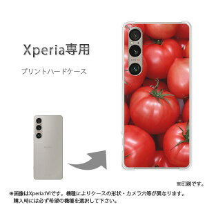 䂤pP XperiapP[XSO-51F SO-52F GNXyA P[X Jo[ PCP[X  lC JCCANZT[ X}zP[X Jo[ n[h |J[{l[g[XC[cEg}g()/