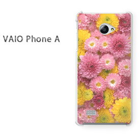 ゆうパケ送料無料 VAIO Phone Aバイオ フォン Vaio phone a simフリー ケース カバークリア 透明 ハードケース ハードカバーアクセサリー スマホケース スマートフォン用カバー【キク（B）/vaiophonea-M914】