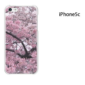 ゆうパケ送料無料 iPhone 5C用ケース iPhone5C ハードケースカバー CASE iPhone ケース スマートフォン用カバー[花・桜(ピンク)/i5c-pc-new0533]