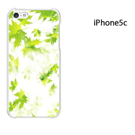 ゆうパケ送料無料 iPhone 5C用ケース iPhone5C ハードケースカバー CASE iPhone ケース スマートフォン用カバー[秋・シンプル・落ち葉(グリーン)/i5c-pc-new0538]