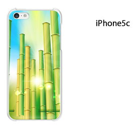 ゆうパケ送料無料 iPhone 5C用ケース iPhone5C ハードケースカバー CASE iPhone ケース スマートフォン用カバー[花・竹・キラキラ(グリーン)/i5c-pc-new1375]