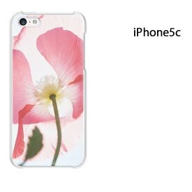 ゆうパケ送料無料 iPhone 5C用ケース iPhone5C ハードケースカバー CASE iPhone ケース スマートフォン用カバー[花(ピンク)/i5c-pc-new1491]