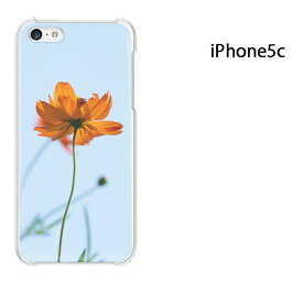 ゆうパケ送料無料 iPhone 5C用ケース iPhone5C ハードケースカバー CASE iPhone ケース スマートフォン用カバー[花(オレンジ)/i5c-pc-new1532]