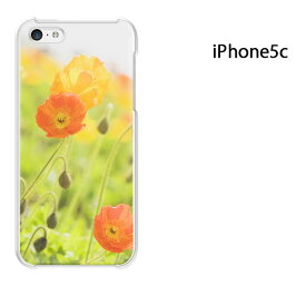 ゆうパケ送料無料 iPhone 5C用ケース iPhone5C ハードケースカバー CASE iPhone ケース スマートフォン用カバー[花(オレンジ)/i5c-pc-new1548]