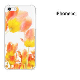 ゆうパケ送料無料 iPhone 5C用ケース iPhone5C ハードケースカバー CASE iPhone ケース スマートフォン用カバー[花(オレンジ)/i5c-pc-new1549]