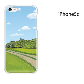 ゆうパケ送料無料 iPhone 5C用ケース iPhone5C ハードケースカバー CASE iPhone ケース スマートフォン用カバー[シンプル(グリーン)/i5c-pc-new1578]