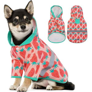  CR[g 킢C`S  Jbp h h EȒP y h~ XqƎ[ܕt  J U ~J΍  |` ^ sN XL