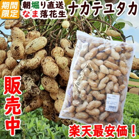 楽天市場 千葉 県 落花生 収穫 時期の通販