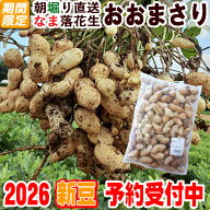 予約★2026新豆★＼令和8年度産／なま落花生おおまさり・1kg【簡単レシピ付き！】【クール冷蔵便】【期間…
