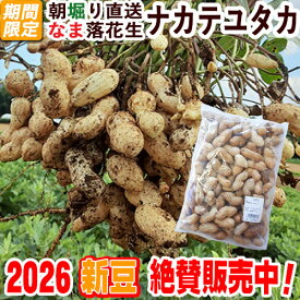 天候次第で発送中★2026新豆★＼令和8年度産／なま落花生ナカテユタカ・1kg　【簡単レシピ付き】【クール冷蔵便】【期間限定】【自宅で作るゆで落花生】【栽培期間中無農薬・契約農家さんが心を込めて育てた】【生落花生】【なま落花生】