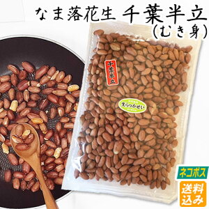 ylR|X݁zߘa6NYyȂܗԐ(ނ) t z400gEEَqɁ@@y Ԑ bJZC tY t Y t bJZC s[ibc  肽
