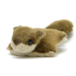 AQUA ʂ lC`[ K S 00100012