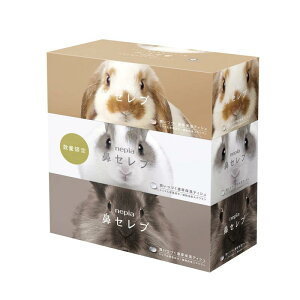 lsA @Zu eBV 400(200g)×3pbN x pbP[W