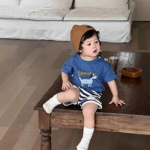 q TVc Zp ㉺Zbg  ĕ j̎q xr[ {[_[ V[gpc ㉺ 2_Zbg  73cm 80cm 90cm 100cm 킢 JWA