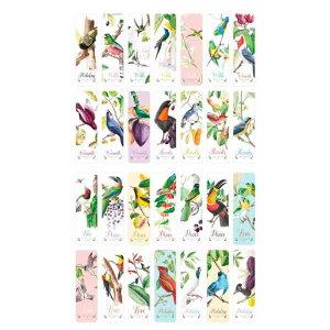 miatipi  ubN}[N 킢 Y 28 ubN}[J[ Zbg